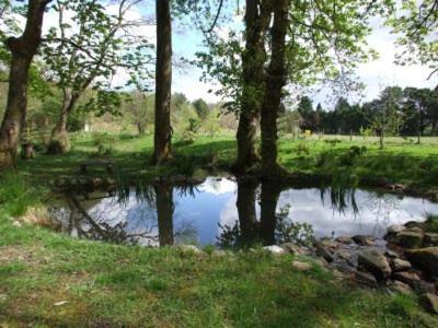 Hafan Y Coed Bed and Breakfast Abercraf Zewnętrze zdjęcie